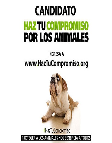 haz Compromiso