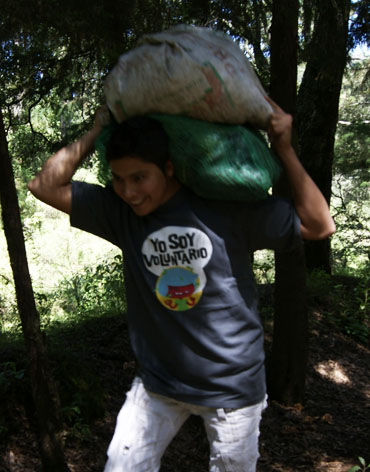 Reforestaci&oacute;n