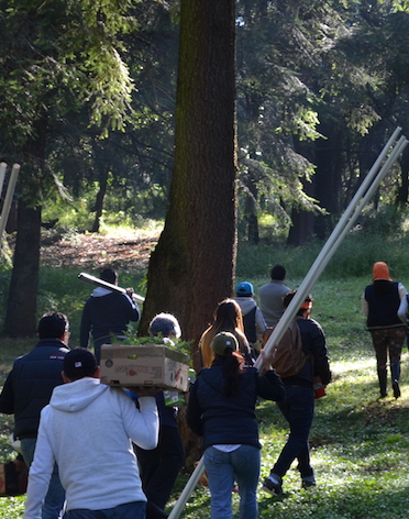 voluntariado Internacional